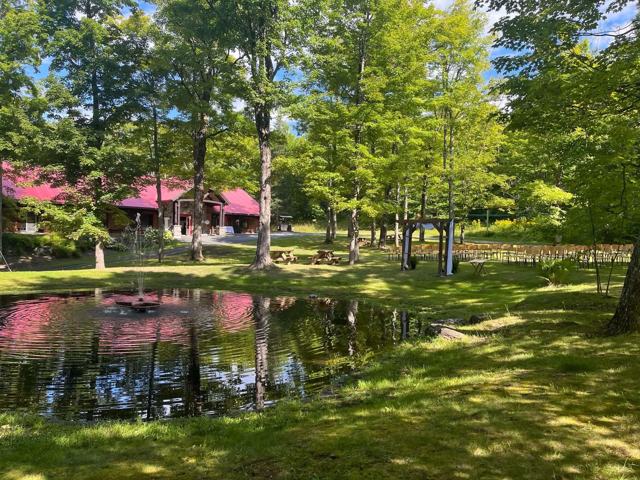 Le domaine